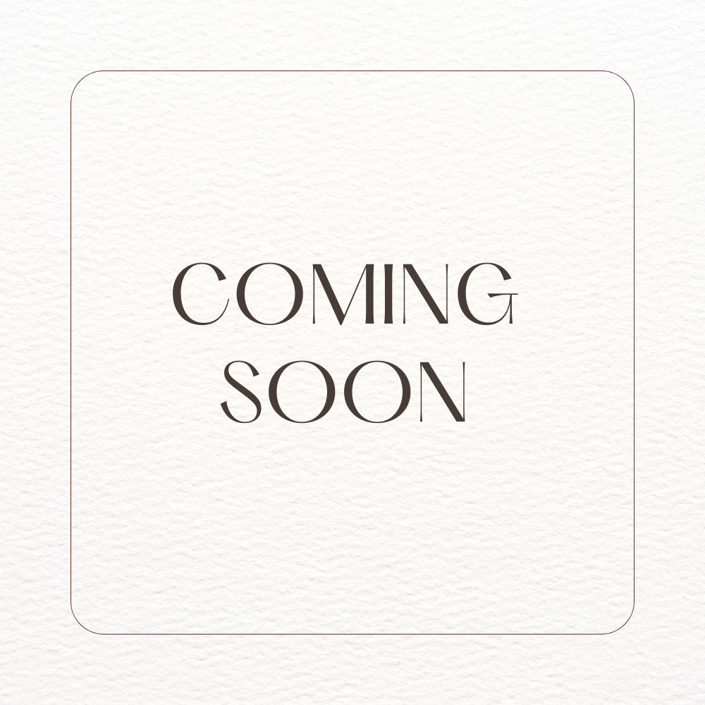 Chocolate Chip Cookie Stress Squeeze Ball